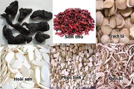 Ứng dụng bài thuốc 'Lục vị hoàn' điều trị một số bệnh mạn tính